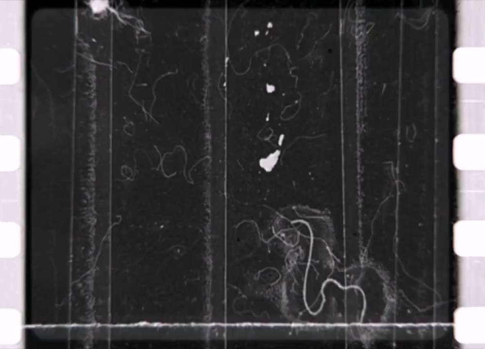 Paris, Capital of the 19th Century